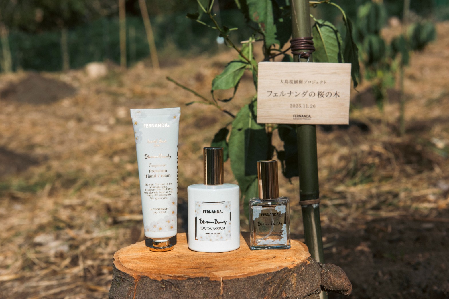 桜の香りで未来に繋ぐ。本物の桜の花びらからつくった、リアルな“桜”の